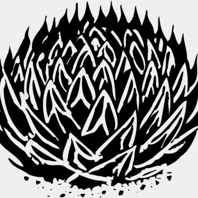 Plants Thumbnail